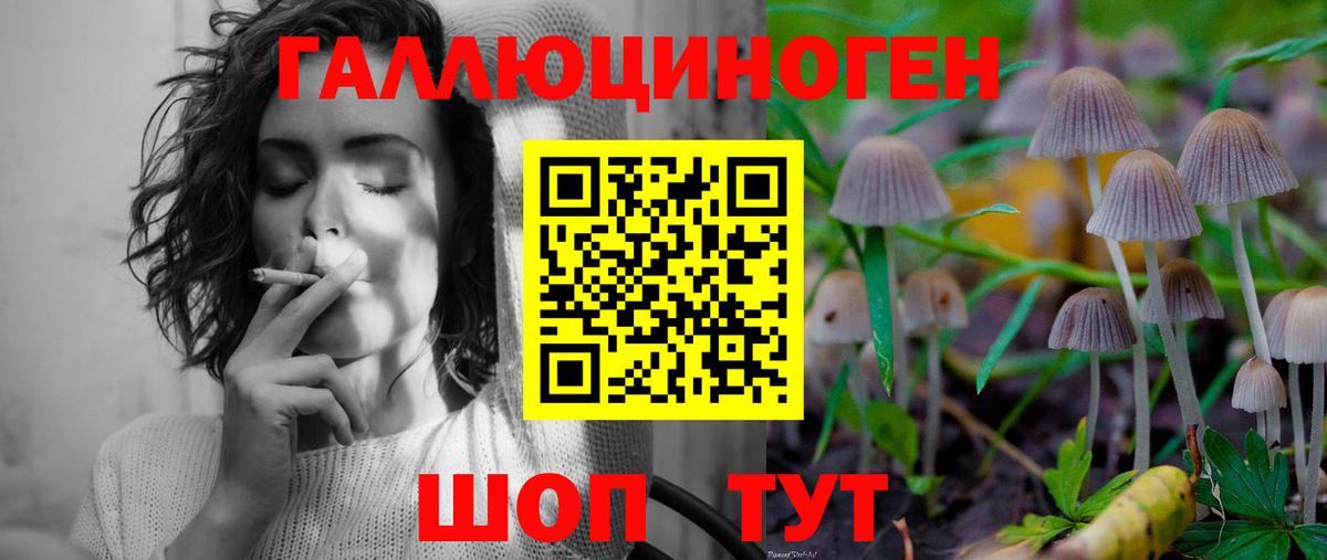 цена   Вход с VPN  Артём  Галлюциногенные грибы ЛСД 